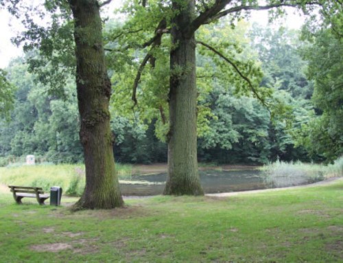 Park Daalhuizen, Velp